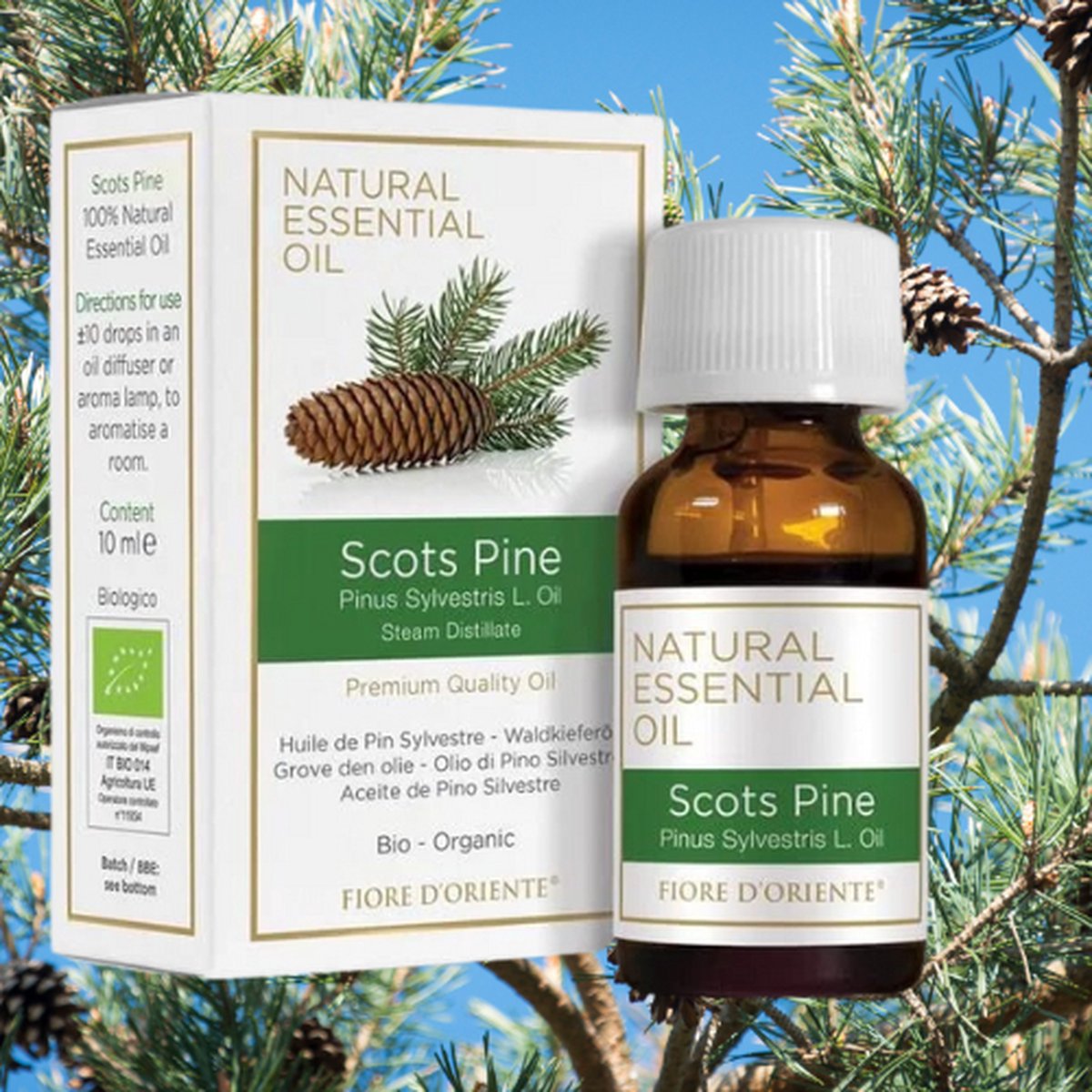 Goedkoopste Biologische etherische olie Grove Den - 10ml - Aromatherapie