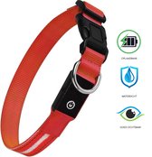 Led Halsband - Honden - Lichtgevend - USB oplaadbaar - Nachtlampje - 3 verschillende standen - Veiligheid - Waterproof - Waterdicht - Verstelbaar - Rood - Maat S