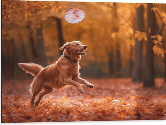 Dibond - Hond - Dier - Spelen - Bos - Bladeren - Herfst - 80x60 cm Foto op Aluminium (Wanddecoratie van metaal)
