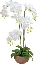 Greenmoods Kunstplanten - Kunstbloem - Orchidee - Zijde - In pot - 118 cm