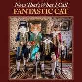 Fantastic Cat - Now That's What I Call Fantastic Cat (LP)