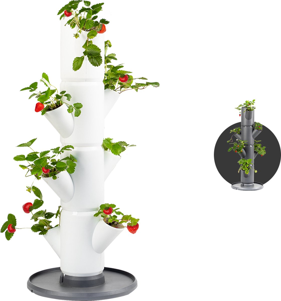 Gusta Garden SISSI STRAWBERRY Zelfbewaterende Starter Planter 4 Lagen, Wit