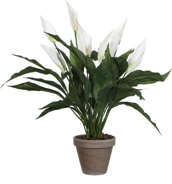 Mica Decorations Kunstplant - spathiphyllum lepelplant - wit - H50 x D40 cm