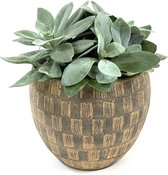 Lucy's Living Luxe Flowerpot LUXY Beige - ø 19 x 14 cm - intérieur - extérieur - luxe - accessoires - jardin - décoration - fleurs - poterie - plantes - porte-plante