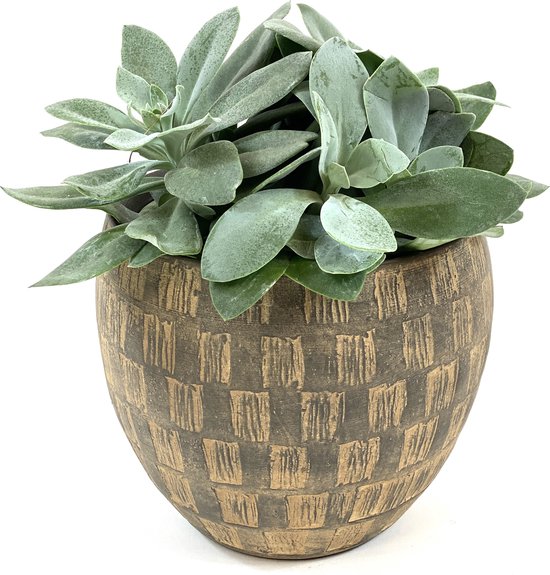 Lucy’s Living Luxe Bloempot LUXY Beige – ø 19 x 14 cm - binnen – buiten – luxe – accessoires – tuin – decoratie – bloemen - aardewerk - planten - plantenhouder