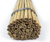 Set van 100 stuks | Bamboe stokken 180 cm x 18-20 mm Ø | Tonkinstokken | Plantensteun.