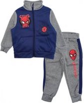 Marvel Spiderman set joggingpak / trainingspak / vrijetijdspak - Vest + Broek - blauw/grijs - maat 92 - 2 Jaar