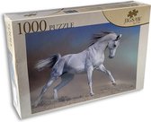 Wit Volbloed Paard Puzzel 1000 stukken Jigsaw by PTZ