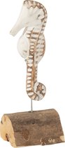 J-Line Figurine d'hippocampe, Décoration maritime inimitable, Élément décoratif en bois d'albasia, Cadeau parfait pour les amoureux de la mer, Design intemporel blanc et naturel, 20 cm de haut