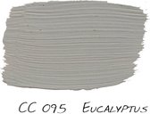 Carte Colori 0,75L Puro Matt Krijtlak Eucalyptus CC095