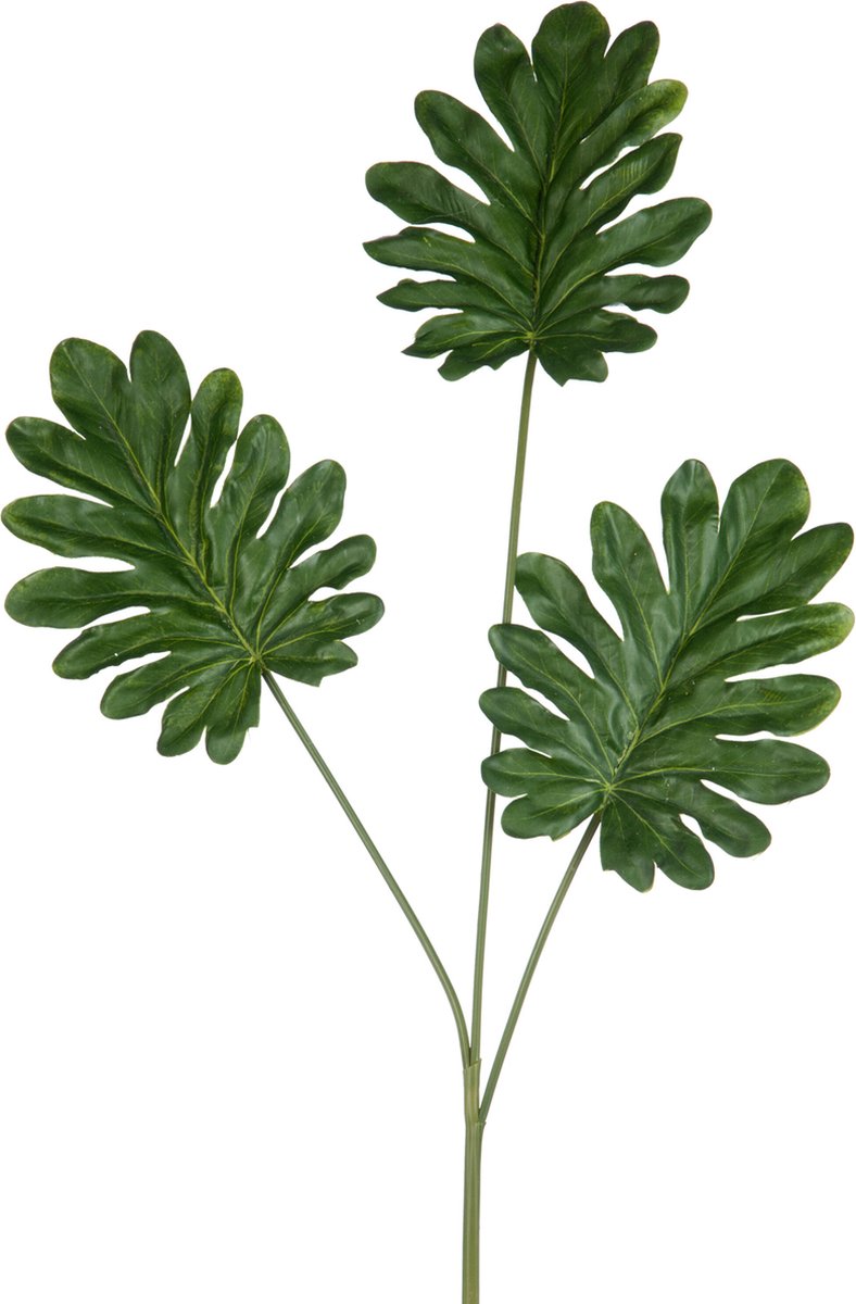 J-Line decoratie tak Philodendron 3 Delig - kunststof - groen