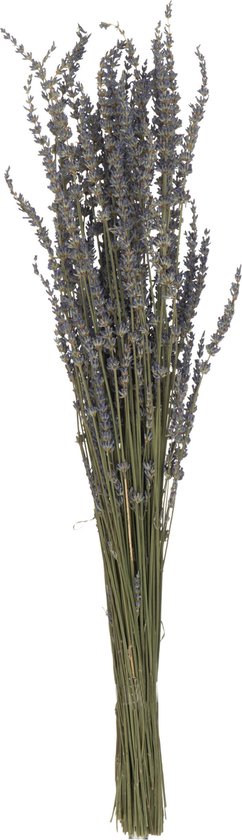 J-Line Bundel - gedroogde lavendel - paars
