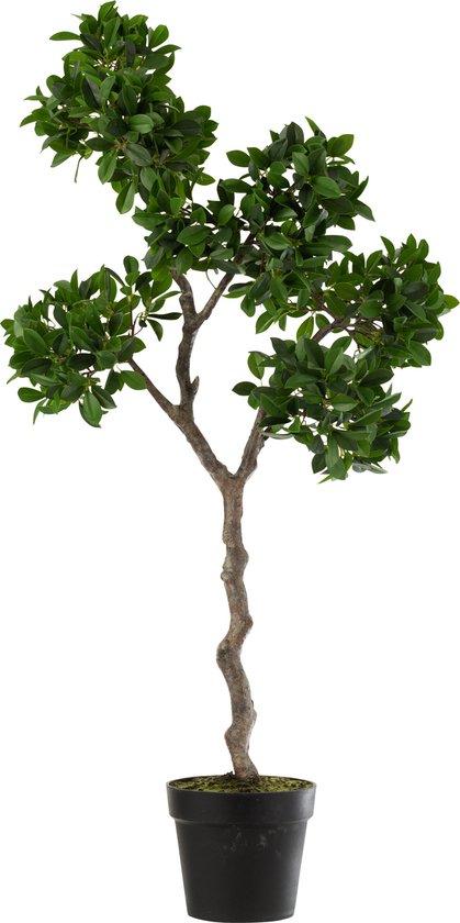 J-Line Ficus Arbre En Pot Plastique Vert/Noir Large