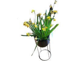 Bloempotten op standaard Zwart