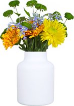 Floran Bloemenvaas - apotheker model - mat wit glas - H20 x D15 cm