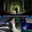 Collage van een man met een zaklamp in een bos, een boom verlicht door een zaklamp, en een camping met zaklamp.
