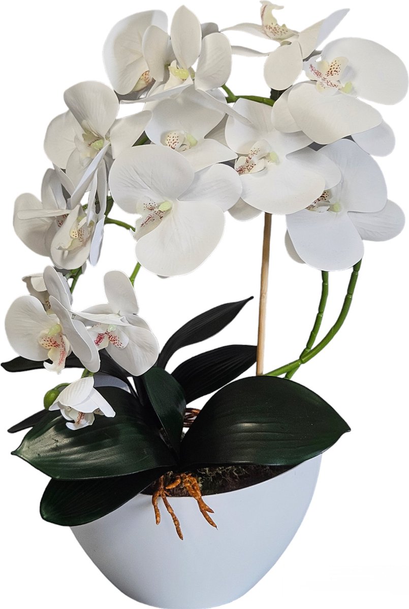 Damich - Kunst Orchidee in Bloempot - Voor binnen - Hoogte 50 cm - Wit