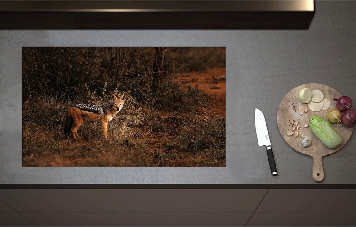Inductieplaat Beschermer - Aankijkende Goudwolf in de Struiken van Kaal Bos - 85x51 cm - 2 mm Dik - Inductie Beschermer - Bescherming Inductiekookplaat - Kookplaat Beschermer van Zwart Vinyl