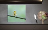 Inductieplaat Beschermer - Achteraanzicht van Zingend Geel Wilsons Vogeltje op een Tak - 57x55 cm - 2 mm Dik - Inductie Beschermer - Bescherming Inductiekookplaat - Kookplaat Beschermer van Wit Vinyl