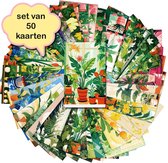 Set de 50 cartes différentes Urban Jungle - cartes postales - botanique - karton solide - dos vierge - 15x10 cm