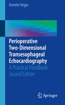 Perioperative Two Dimensional Transesophageal Echocardiography