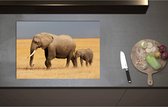 Inductieplaat Beschermer - Afrikaanse Olifant met Baby Olifantje - 75x52 cm - 2 mm Dik - Inductie Beschermer - Bescherming Inductiekookplaat - Kookplaat Beschermer van Zwart Vinyl