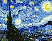 Schilderen op nummer Volwassenen – Sterrennacht van Vincent van Gogh - 40 x 50 centimeter - Paint by numbers - Verven - Volwassenen - Cadeau voor man en vrouw