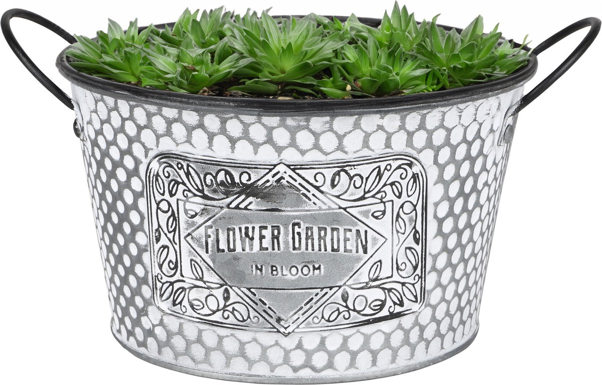 Goedkoopste Sunnydays Teil/plantenpot/bloempot - zink - zilver - D22 x H12 cm