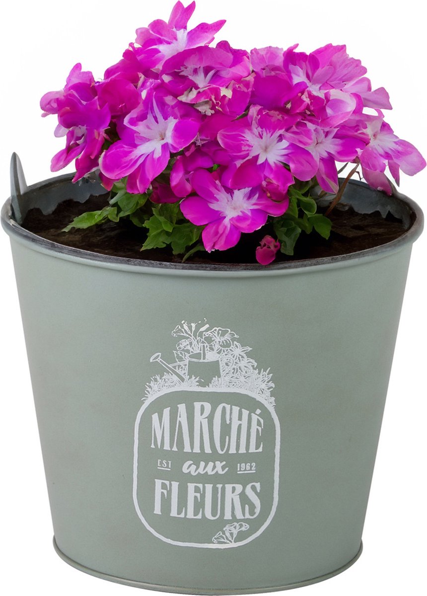 Goedkoopste Sunnydays /plantenpot/bloempot - zink - jadegroen - D17 x H14 cm