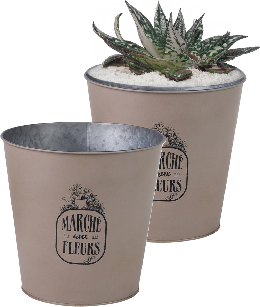 Goedkoopste Sunnydays Emmer/plantenpot/bloempot - 2x - zink - taupe - D23 x H22 cm