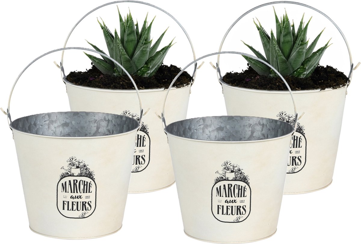 Goedkoopste Sunnydays Emmer/plantenpot/bloempot - 4x - zink - ivoorwit - D24 x H19 cm