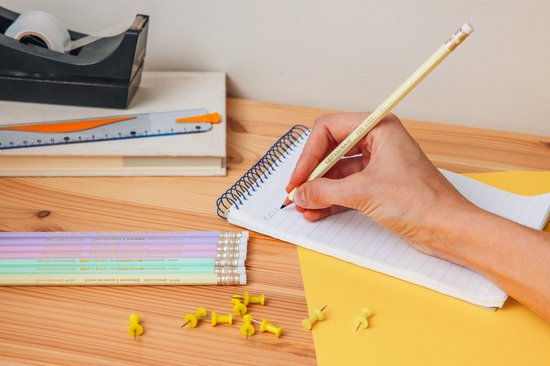 BIC Evolution - Grafietpotloden - Kinderen en volwassenen - Grijs - Potlood - 12 Stuks