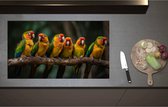 Inductieplaat Beschermer - Ara papegaaien zitten op een rijtje langs elkaar op een tak - 90x52 cm - 2 mm Dik - Inductie Beschermer - Bescherming Inductiekookplaat - Kookplaat Beschermer van Zwart Vinyl