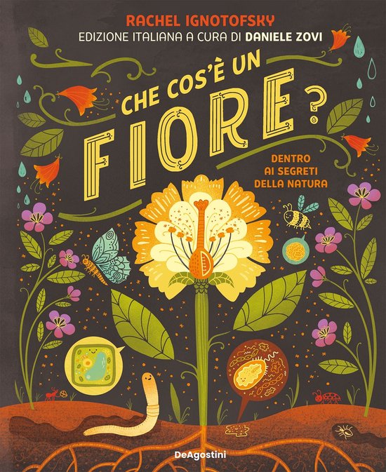Che cos'è un fiore? - cover