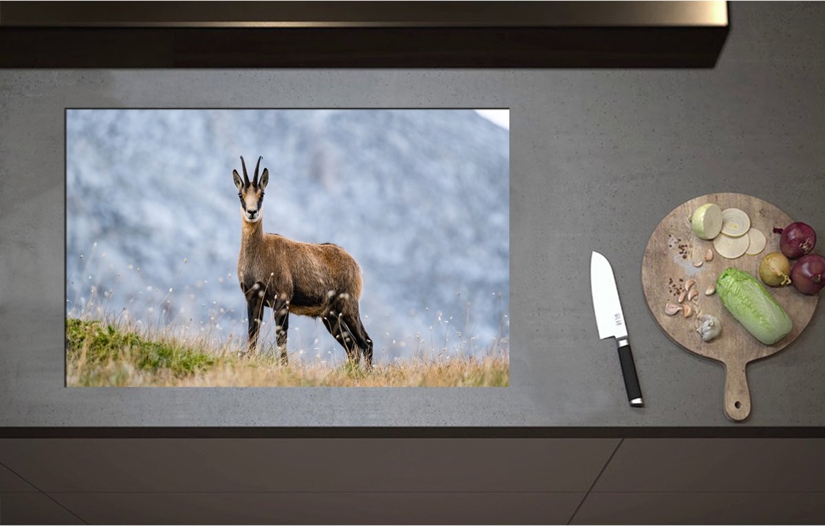Inductieplaat Beschermer - Aankijkende Wilde Geit in het Gras aan de Rand van Bergen - 85x51 cm - 2 mm Dik - Inductie Beschermer - Bescherming Inductiekookplaat - Kookplaat Beschermer van Zwart Vinyl