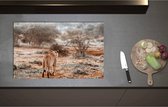 Inductieplaat Beschermer - Achteraanzicht van Sluipende Leeuw in Afrikaans Landschap - 80x51 cm - 2 mm Dik - Inductie Beschermer - Bescherming Inductiekookplaat - Kookplaat Beschermer van Wit Vinyl
