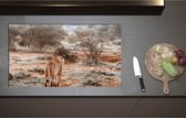 Inductieplaat Beschermer - Achteraanzicht van Sluipende Leeuw in Afrikaans Landschap - 90x51 cm - 2 mm Dik - Inductie Beschermer - Bescherming Inductiekookplaat - Kookplaat Beschermer van Wit Vinyl
