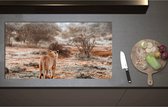 Inductieplaat Beschermer - Achteraanzicht van Sluipende Leeuw in Afrikaans Landschap - 95x51 cm - 2 mm Dik - Inductie Beschermer - Bescherming Inductiekookplaat - Kookplaat Beschermer van Zwart Vinyl