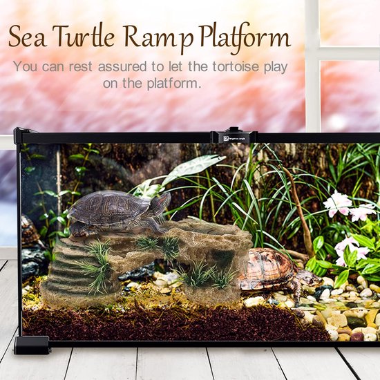 Gazonschildpad koesteren platform schildpad rust koesteren platform Gazonschildpad koesteren platform schildpad rust koesteren platform