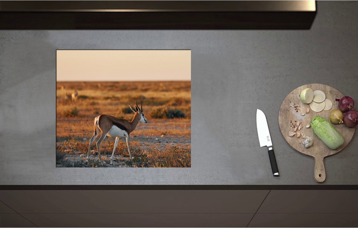 Inductieplaat Beschermer - Achterkant van Antilope in Landschap, Afrika - 57x50 cm - 2 mm Dik - Inductie Beschermer - Bescherming Inductiekookplaat - Kookplaat Beschermer van Zwart Vinyl