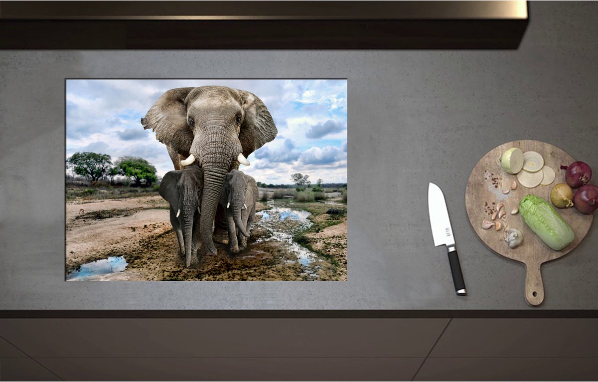 Inductieplaat Beschermer - Aankijkende Olifant met Jongen in Moerassig Landschap - 71x51 cm - 2 mm Dik - Inductie Beschermer - Bescherming Inductiekookplaat - Kookplaat Beschermer van Zwart Vinyl