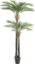 Kunst Palmboom California Dubbele Stam | 210cm - Namaak palmboom - Kunstplanten voor binnen - Kunstpalm