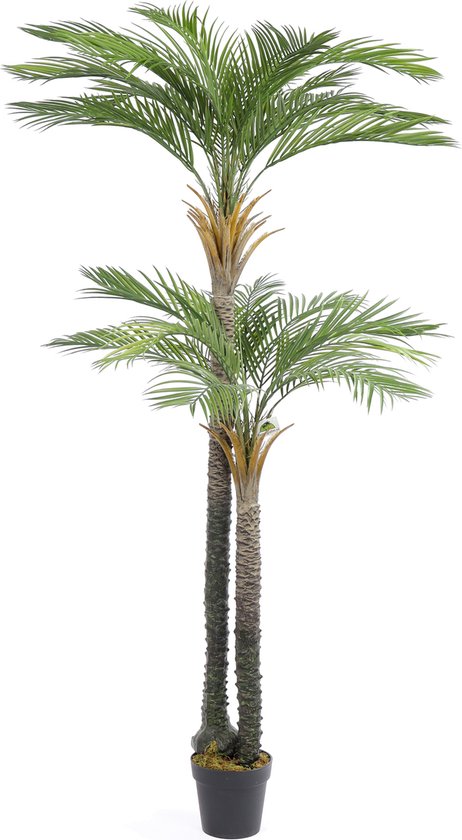 Kunst Palmboom California Dubbele Stam | 210cm - Namaak palmboom - Kunstplanten voor binnen - Kunstpalm