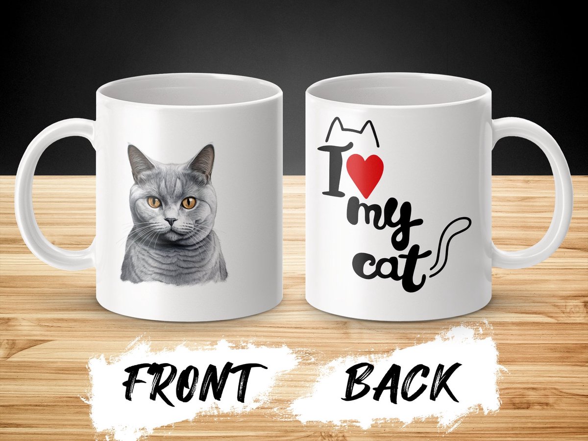 Mok British Shorthair cat - kat - I love my cat - cat lovers - katten