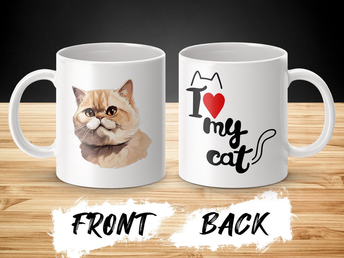 Mok Exotic Shorthair cat - kat - I love my cat - cat lovers - katten