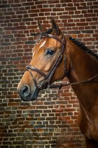 Dy on Flash Noseband Bridle - D Collection - Brown - Maat Full