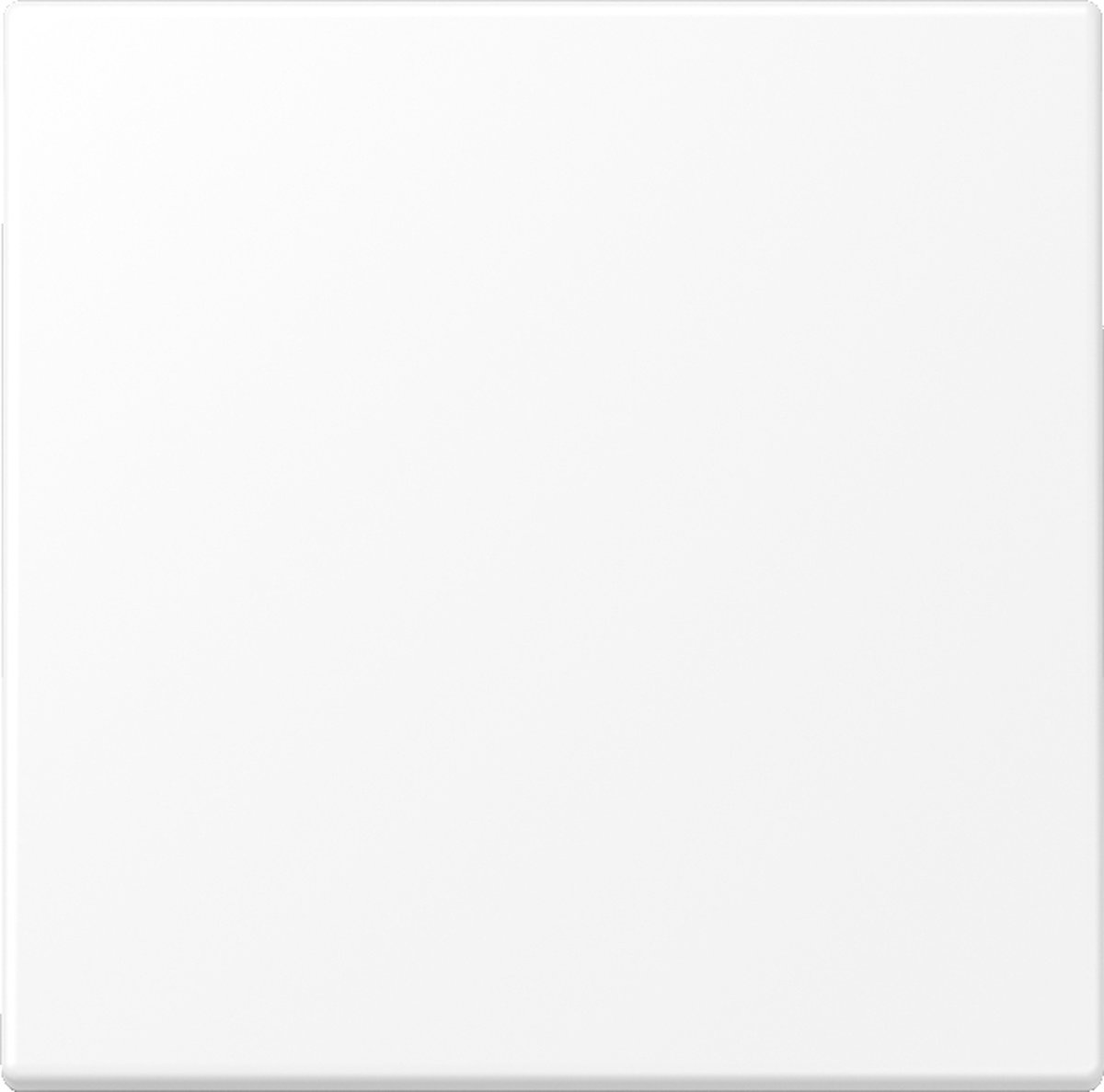 Jung LS Range Bedieningselement/Centrale Plaat LS990WWM - E2VZR