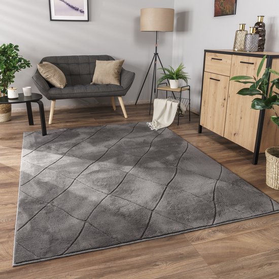 Paco Home Vloerkleed woonkamer laagpolig met abstract patroon en