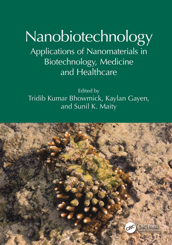 Nanobiotechnology - cover