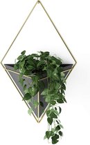 Wandvaas & geometrische decoratie, bloempot voor kamerplanten, vetplanten, luchtplanten, cactussen, kunstplanten en meer, zwart/messing, groot